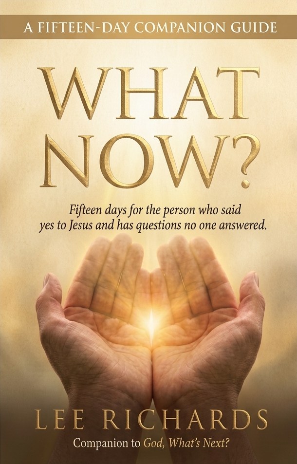 Cover of What Now? by Lee Richards